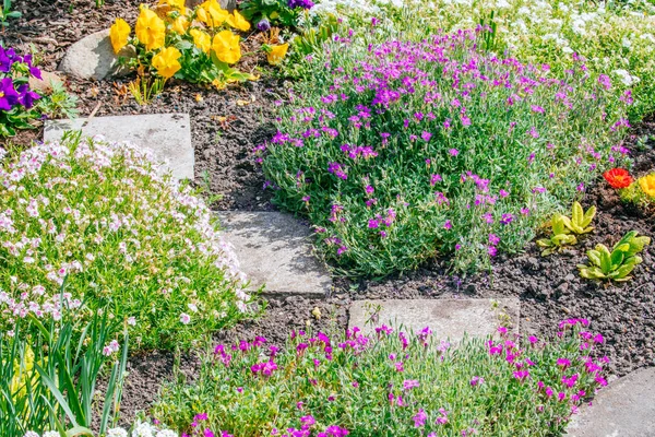 Beautiful Home garden Allotment in spring — Stock Photo, Image