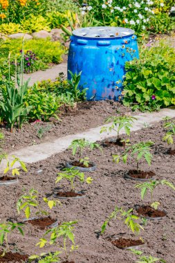 Güzel ev bahçe servis birimi bahar