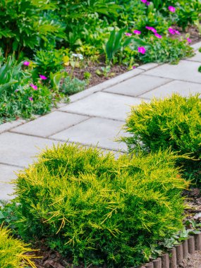 Güzel ev bahçe servis birimi bahar