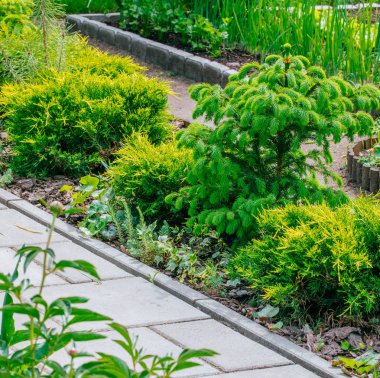 Güzel ev bahçe servis birimi bahar