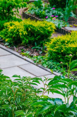 Güzel ev bahçe servis birimi bahar