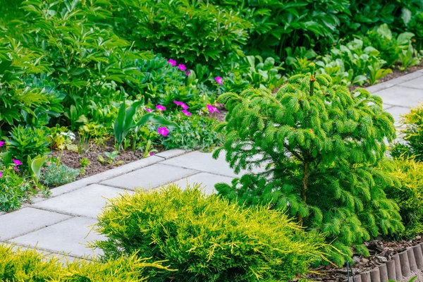 Hermosa casa jardín Asignación en primavera — Foto de Stock