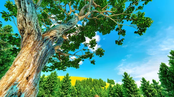 Słodki kasztan drzewo baldachim przeciw jasnym błękitnym niebem — Zdjęcie stockowe