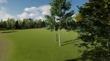 Eski bir parkta güzel bir ağacın çekimleri.