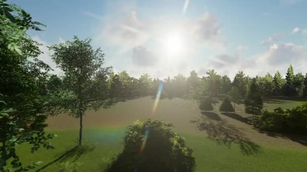 Панорамный снимок красивых деревьев в старом парке — стоковое видео