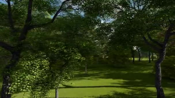 Pan shot of an beautiful trees in an old park — Stock Video