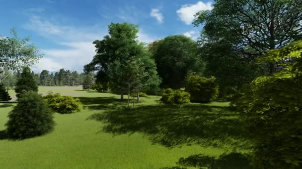 Pan shot van een prachtige bomen in een oud park — Stockvideo