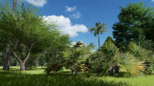 Plan panoramique d'un magnifique arbre dans un parc tropical — Video