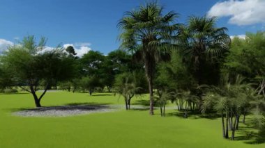 Tropikal parktaki güzel ağaçların çekimleri.