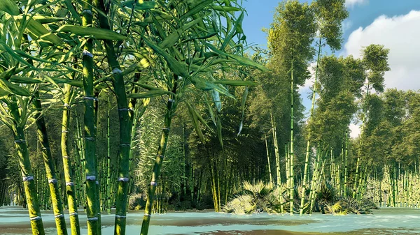 Bela floresta de bambu decarativo 3d renderização — Fotografia de Stock