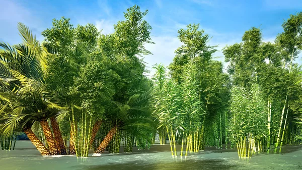 Prachtige decaratieve bamboe bos 3d rendering — Stockfoto