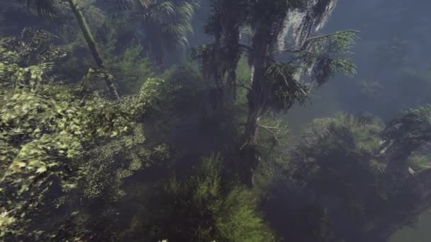 Bataklıkta ürkütücü kel selvi ağaçları — Stok video