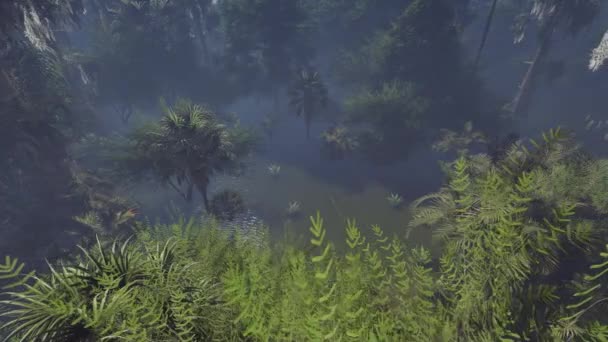 Ciprestes carecas assustadores no pântano — Vídeo de Stock