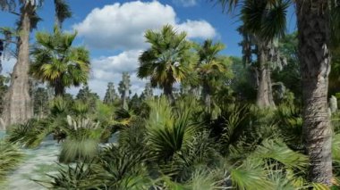 Bataklıkta ürkütücü kel selvi ağaçları