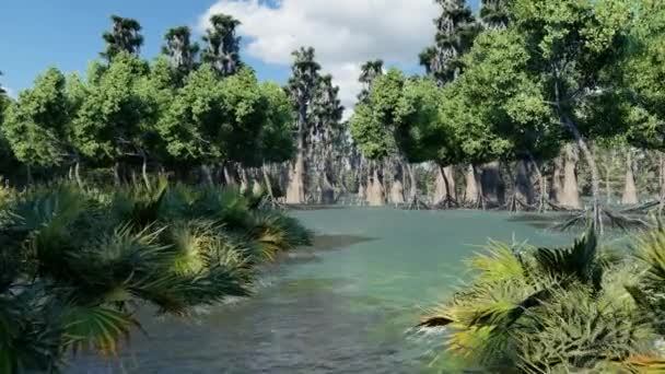 Ciprestes carecas assustadores no pântano — Vídeo de Stock