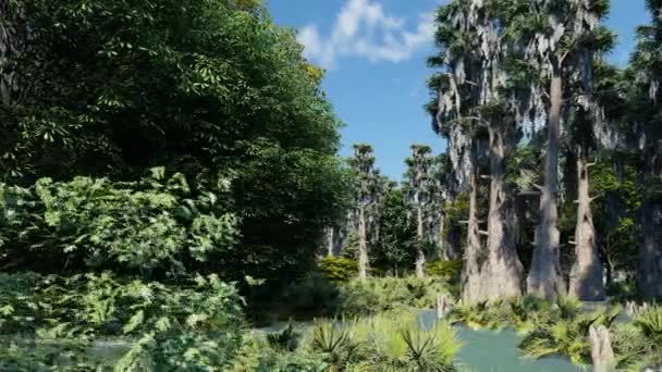 Spooky bald cypresses in the swamp — 图库视频影像