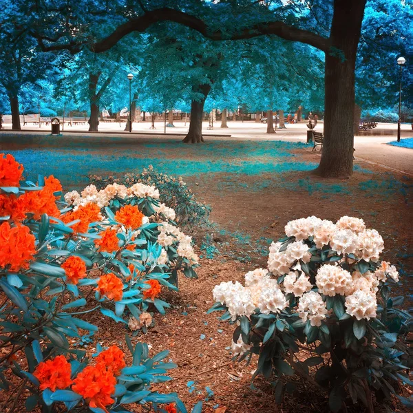 Infrared view of outdoor public park — Stock Photo, Image