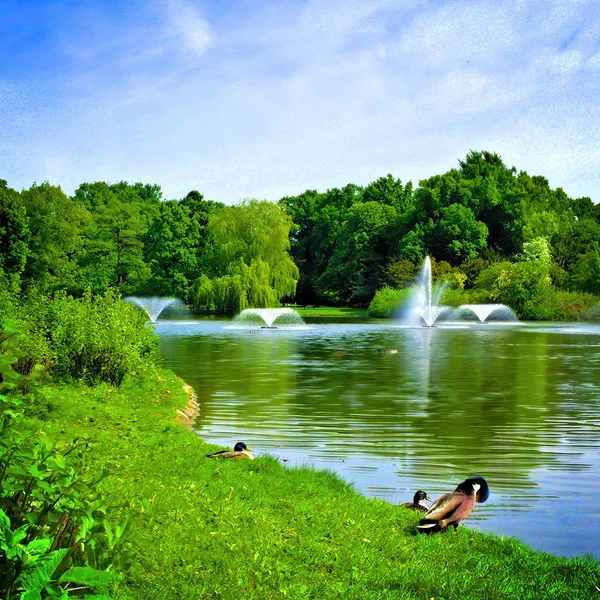 Vista infrarroja del parque público al aire libre — Foto de Stock