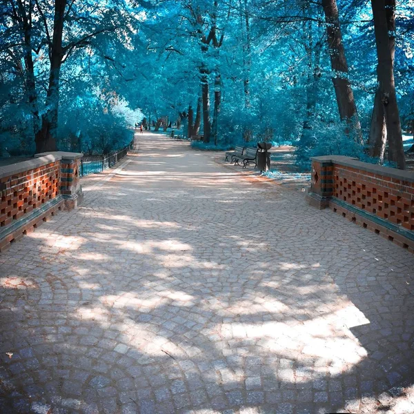 Infrared view of outdoor public park — ストック写真