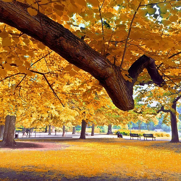 Infrared view of outdoor public park — Stock Photo, Image