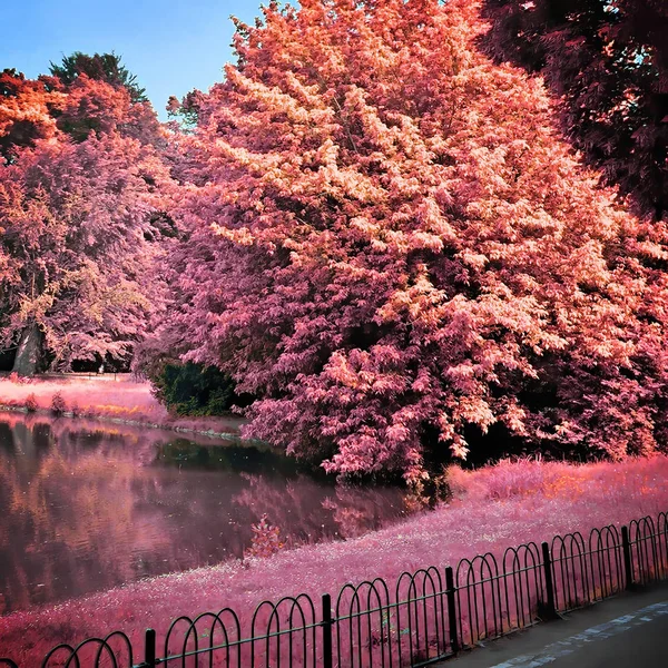 Infrared view of outdoor public park — Stock Photo, Image