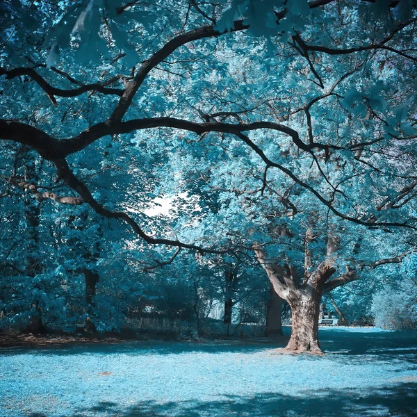 Infrared view of outdoor public park — Stock Photo, Image