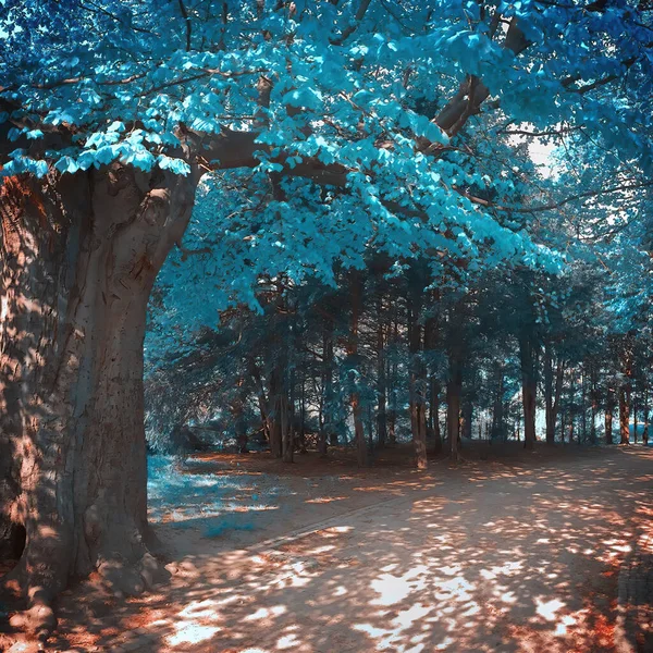 Infrared view of outdoor public park — Stock Photo, Image