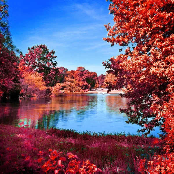 Infrared view of outdoor public park — Stock Photo, Image