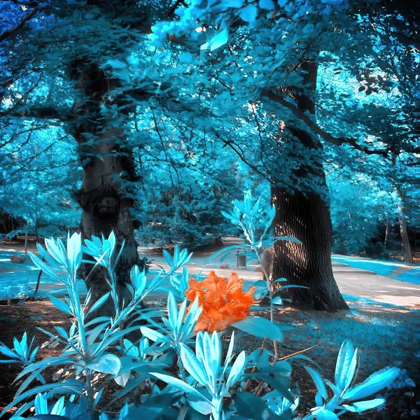 Infrared view of outdoor public park — Stock Photo, Image