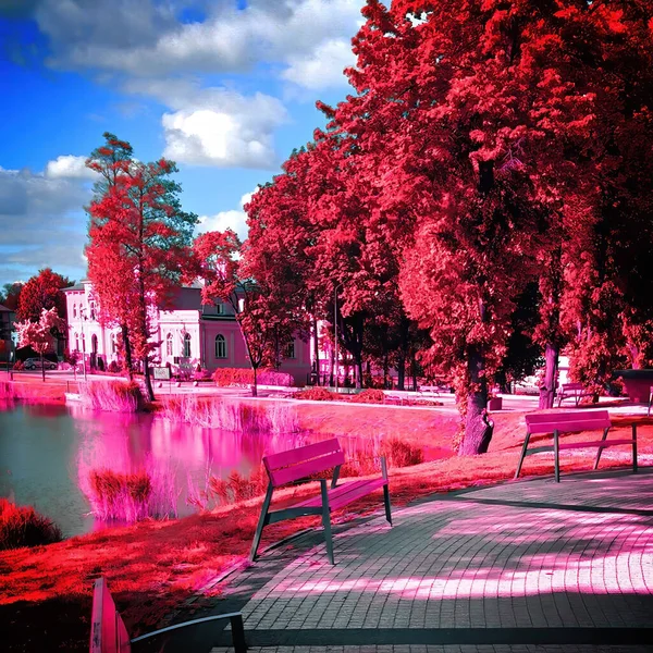 Infračervený pohled na venkovní veřejný park — Stock fotografie