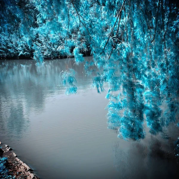 Infračervený pohled na venkovní veřejný park — Stock fotografie