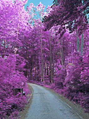 Açık hava parkının kızılötesi görüntüsü