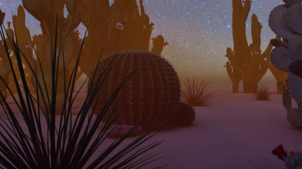 Desierto americano al atardecer animación — Vídeo de stock