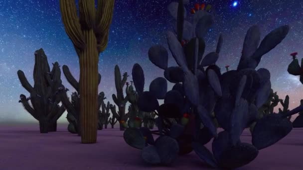 American desert at sunset animation — Stock Video
