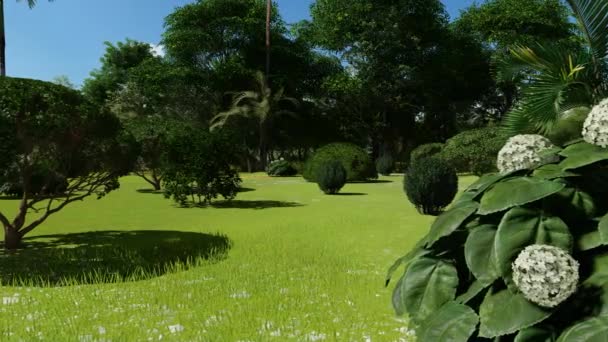 아름다운 열 대 식물 이햇빛을 받는 정원에 있다 — 비디오