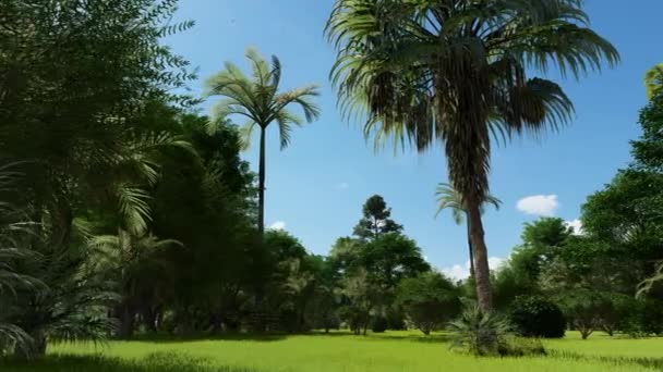 Mooie tropische planten in de tuin bij zonlicht — Stockvideo