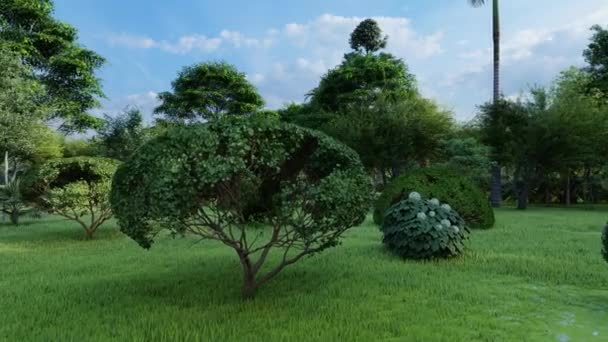 Красивые тропические растения в саду при солнечном свете — стоковое видео