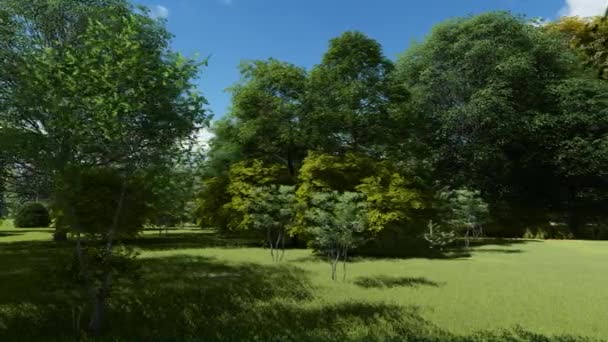 Приваблива зелена зона відпочинку влітку — стокове відео