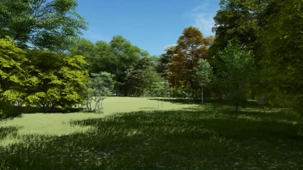 春季吸引人的环保康乐活动区 — 图库视频影像