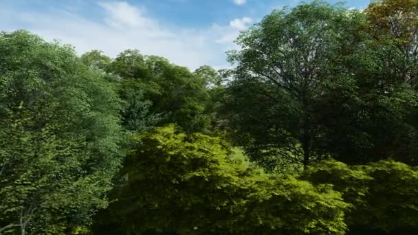Krásný zelený park na jaře — Stock video