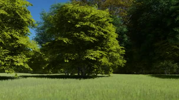 Lindo ambiente amigável área de recreação no verão — Vídeo de Stock