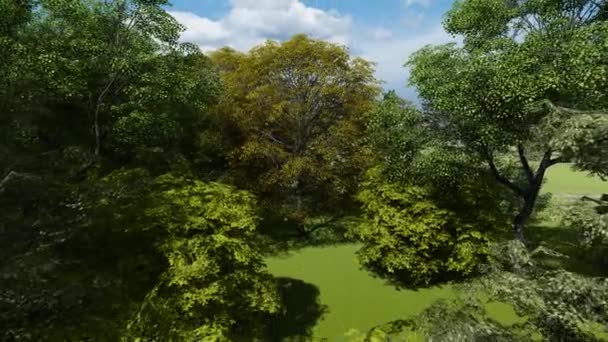 봄에는 아름 다운 녹색 공원 — 비디오