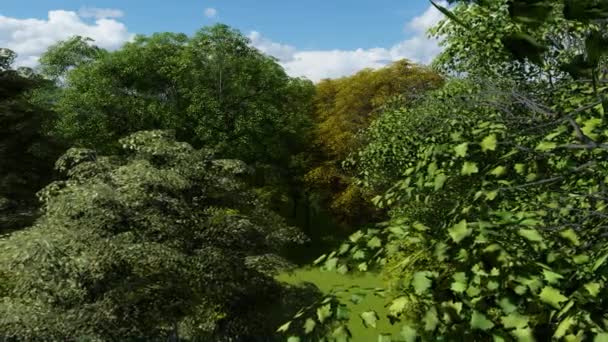 Hermosa zona verde en la primavera — Vídeo de stock