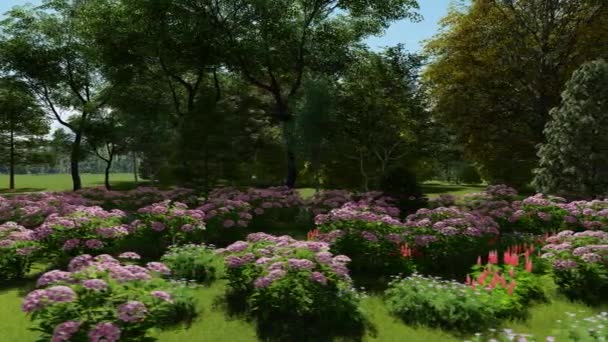 Fioritura fiori selvatici sul pascolo all'inizio della primavera — Video Stock