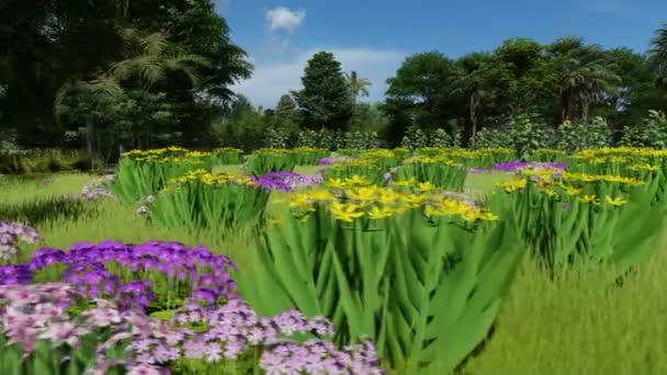 Wildblumen sprießen im Sommer auf der Wiese — Stockvideo