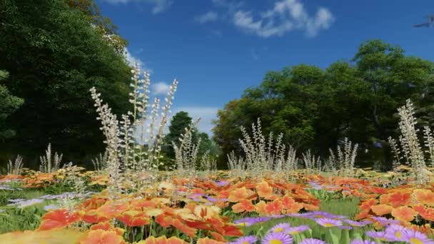 Цветущие дикие цветы на лугу в весеннее время — стоковое видео