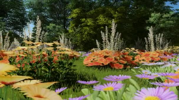 Rosnące dzikie kwiaty na łące w okresie letnim — Wideo stockowe