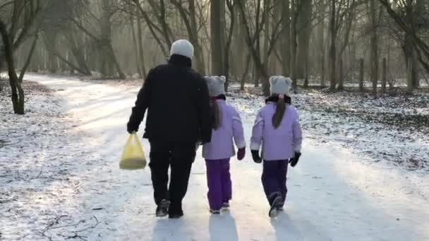 ママは双子と一緒に雪の冬の氷の上を歩く — ストック動画