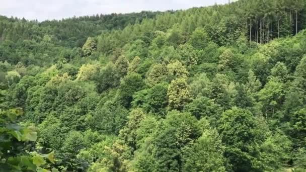 Historiska tyska Dam på sjön Bystryckie i södra västra Polen — Stockvideo