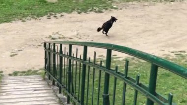 Tarihi Alman Baraj Gölü Bystryckie Güney Batı Polonya